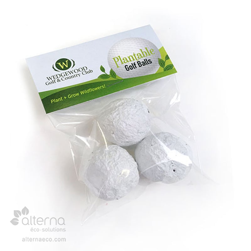 Bombes de semences